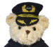 urso grande 1