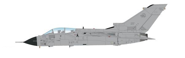 Tornado IDS, MM7071, 6-35, 6 Stormo 102 Gruppo, Italian Air Force, April 2001