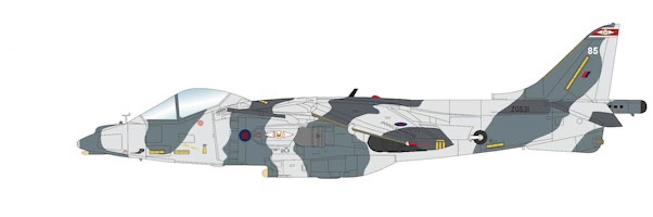 Harrier GR.7 "Exercise Snow Falcon" ZG531, No1. Sqn., RAF, Norway 2004