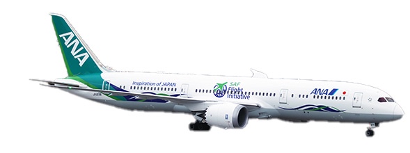Boeing 787-9 Dreamliner ANA All Nippon "ANA Future Promise Livery" Flap Down JA871A
